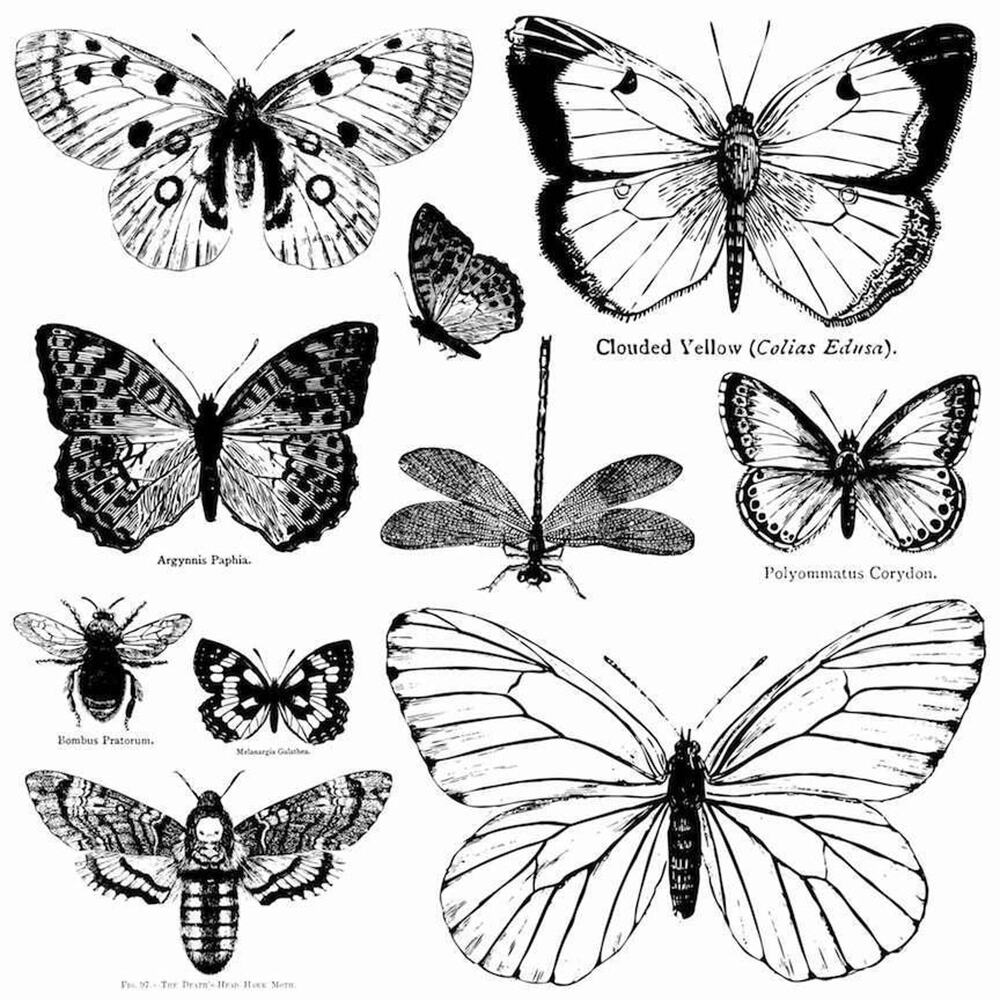 Butterflies 12x12 IOD Decor Stamp